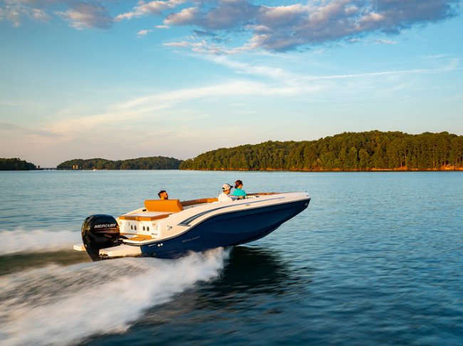 a bayliner dx2000 speeds along Gordon Bay
