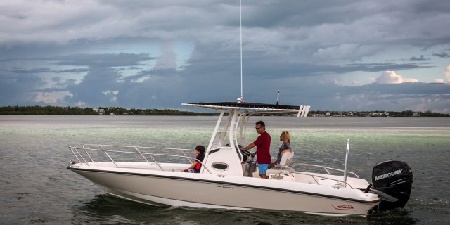cruising boat