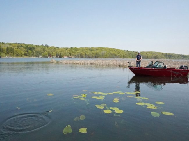 boat fishing