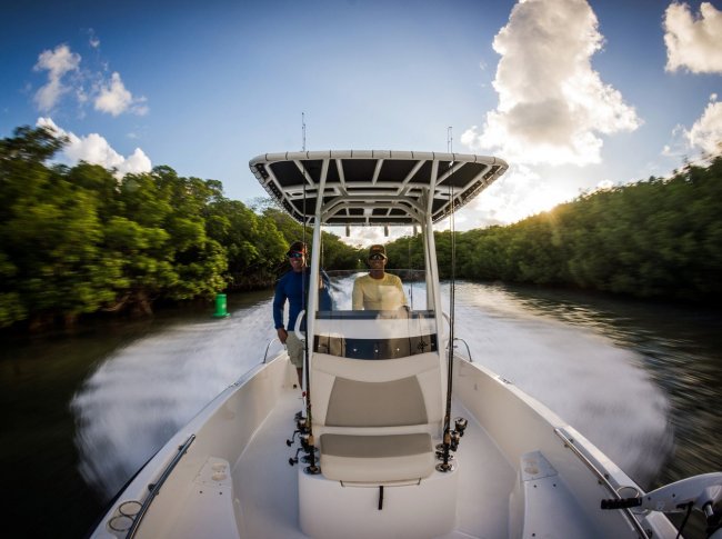 boat fishing
